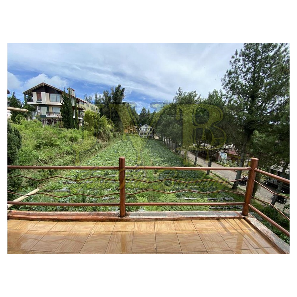 2022 11 18 09 38 IMG 0248