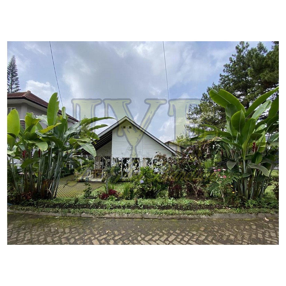 2022 12 05 09 54 IMG 0602