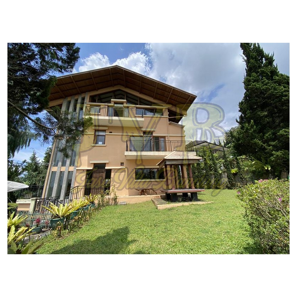 2023 01 15 11 15 IMG 2122