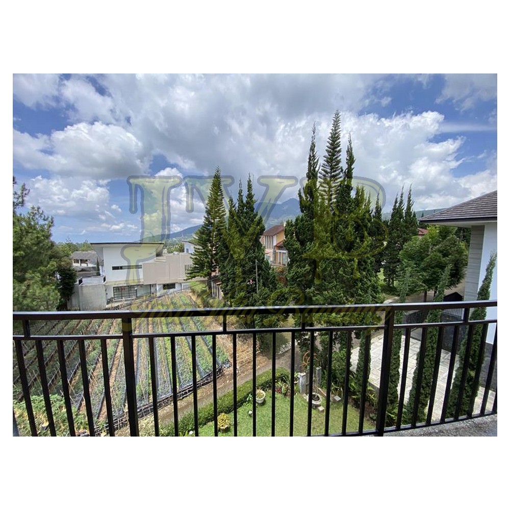 2023 01 15 11 23 IMG 2140