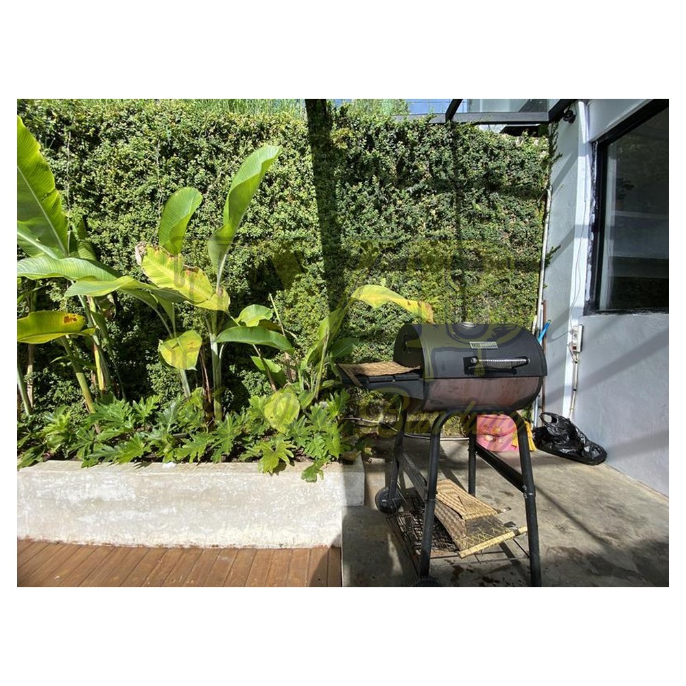 2023 01 16 08 25 IMG 2178