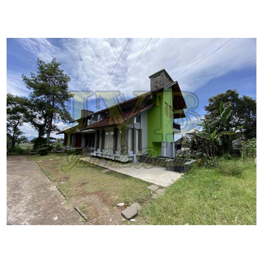 2023 01 17 11 00 IMG 2354