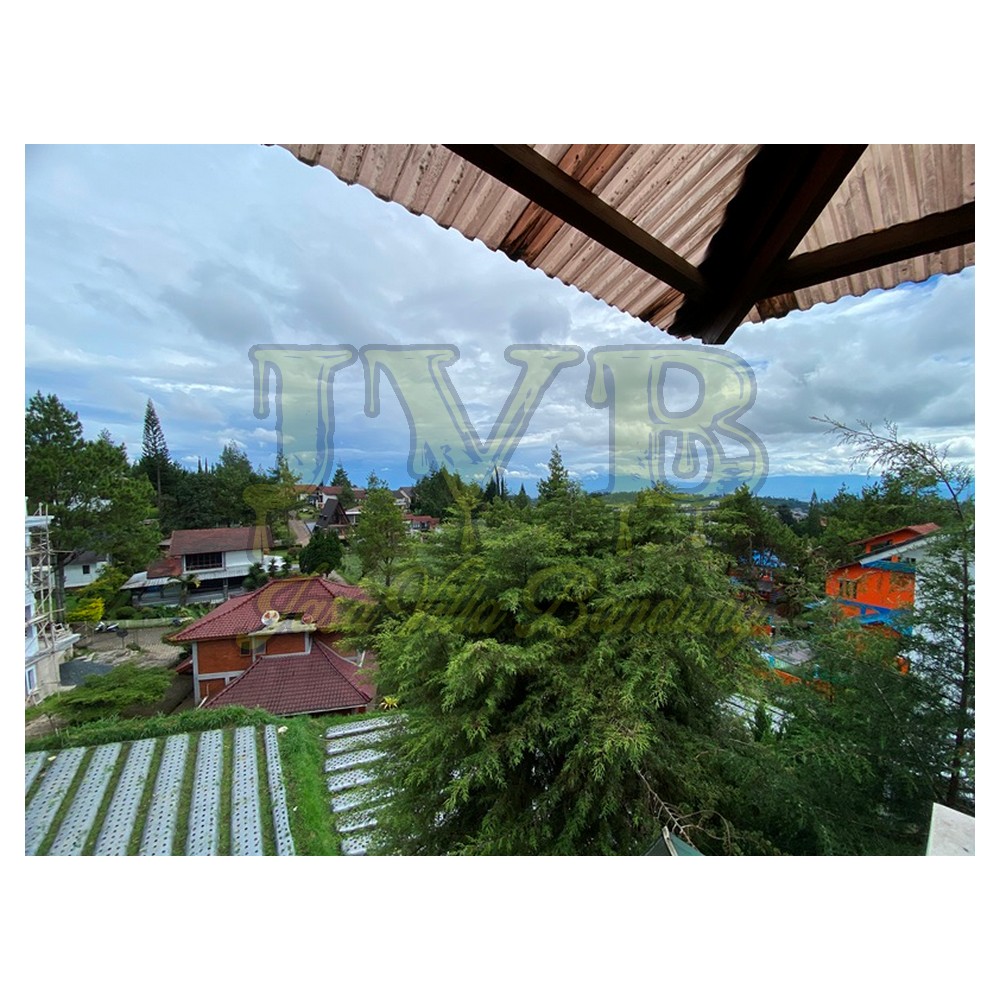 2023 01 22 14 46 IMG 2485