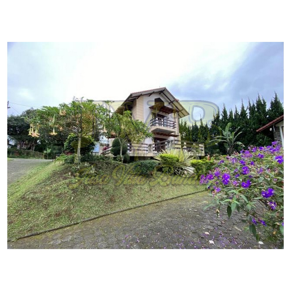 2023 02 01 07 52 IMG 2780 2023 02 01 07 52 IMG 2780