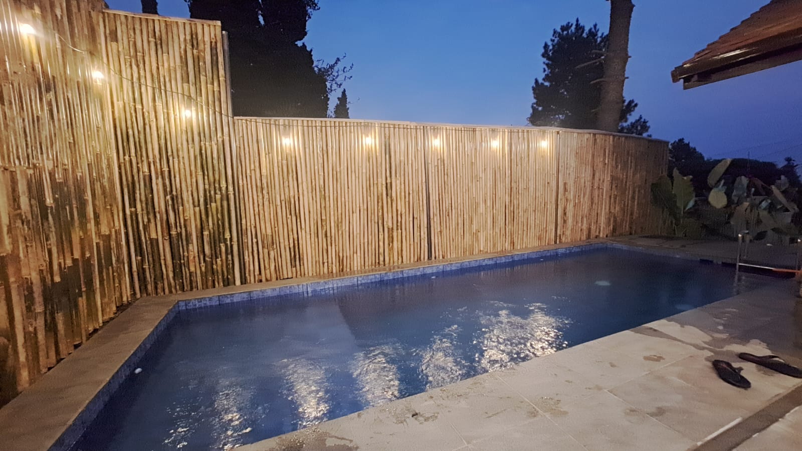 WhatsApp Image 2023 08 30 at 18.37.35